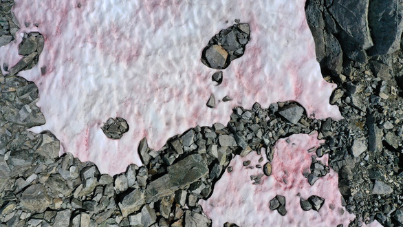 Xuất hiện băng tuyết màu hồng bí ẩn trên dãy Alps